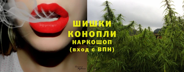 молекула духа Михайловка