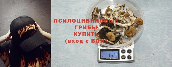 дурь Долгопрудный