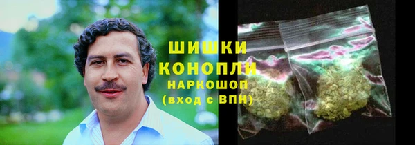 дурь Долгопрудный