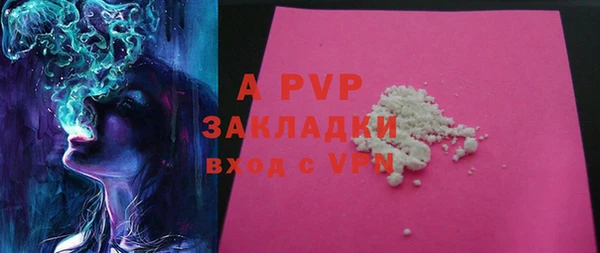 шишки Новый Уренгой