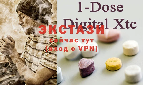 шишки Новый Уренгой