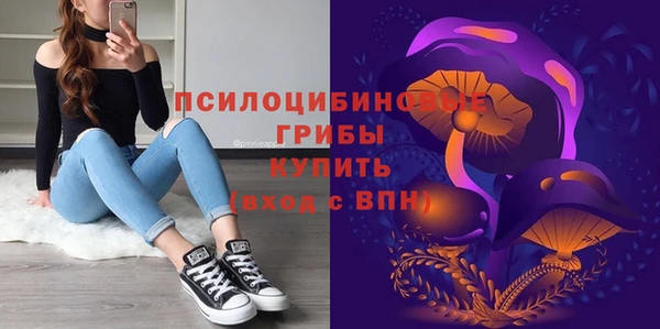 бошки Орехово-Зуево
