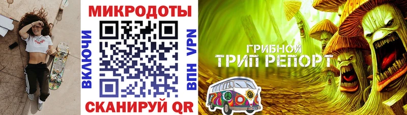 Галлюциногенные грибы прущие грибы  darknet наркотические препараты  Жердевка 